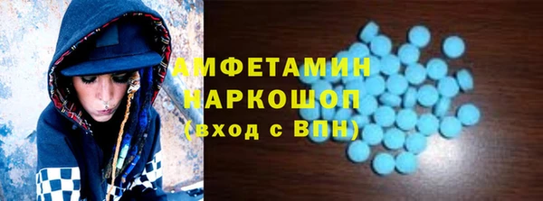 молекула духа Бородино