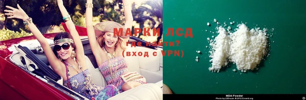 молекула духа Бородино