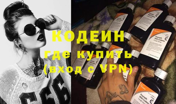 молекула духа Бородино