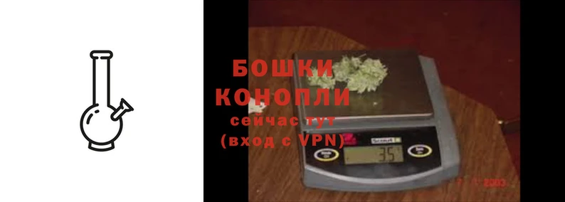 молекула духа Бородино