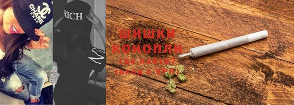 молекула духа Бородино