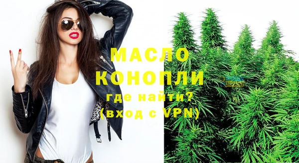 молекула духа Бородино