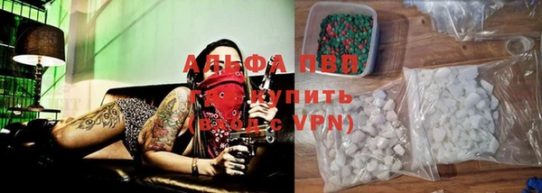 молекула духа Бородино
